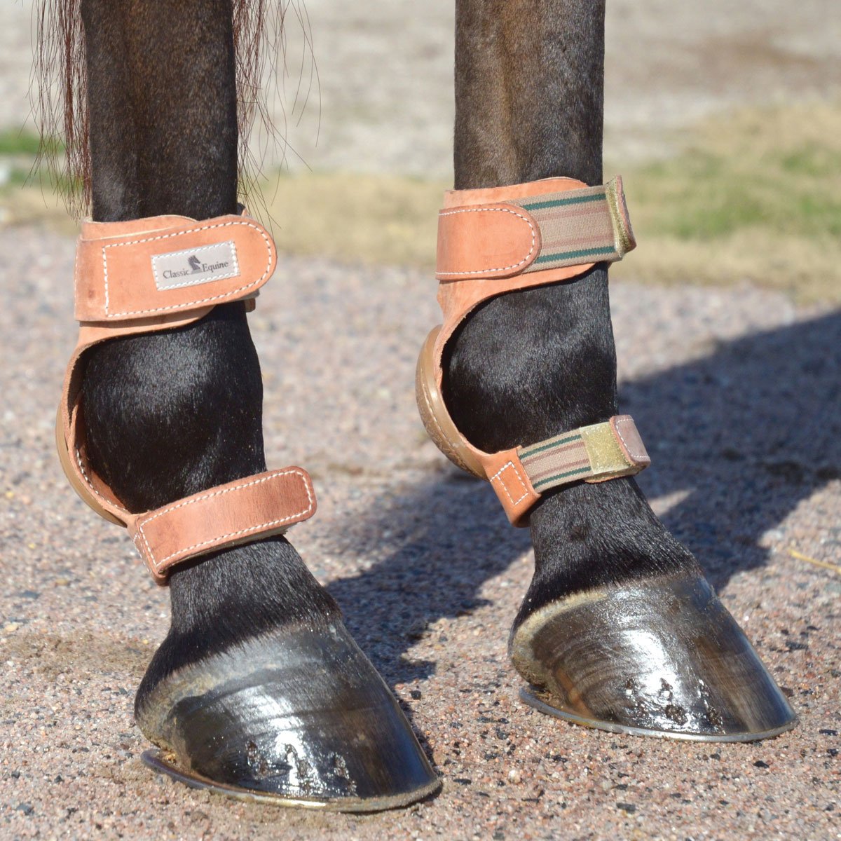 High-Quality Equine Performance Velcro Skid Boots - Durable Horse Leg Protection for Jumping, Riding & Training - Perfect for Equestrian Sports & Stable Use