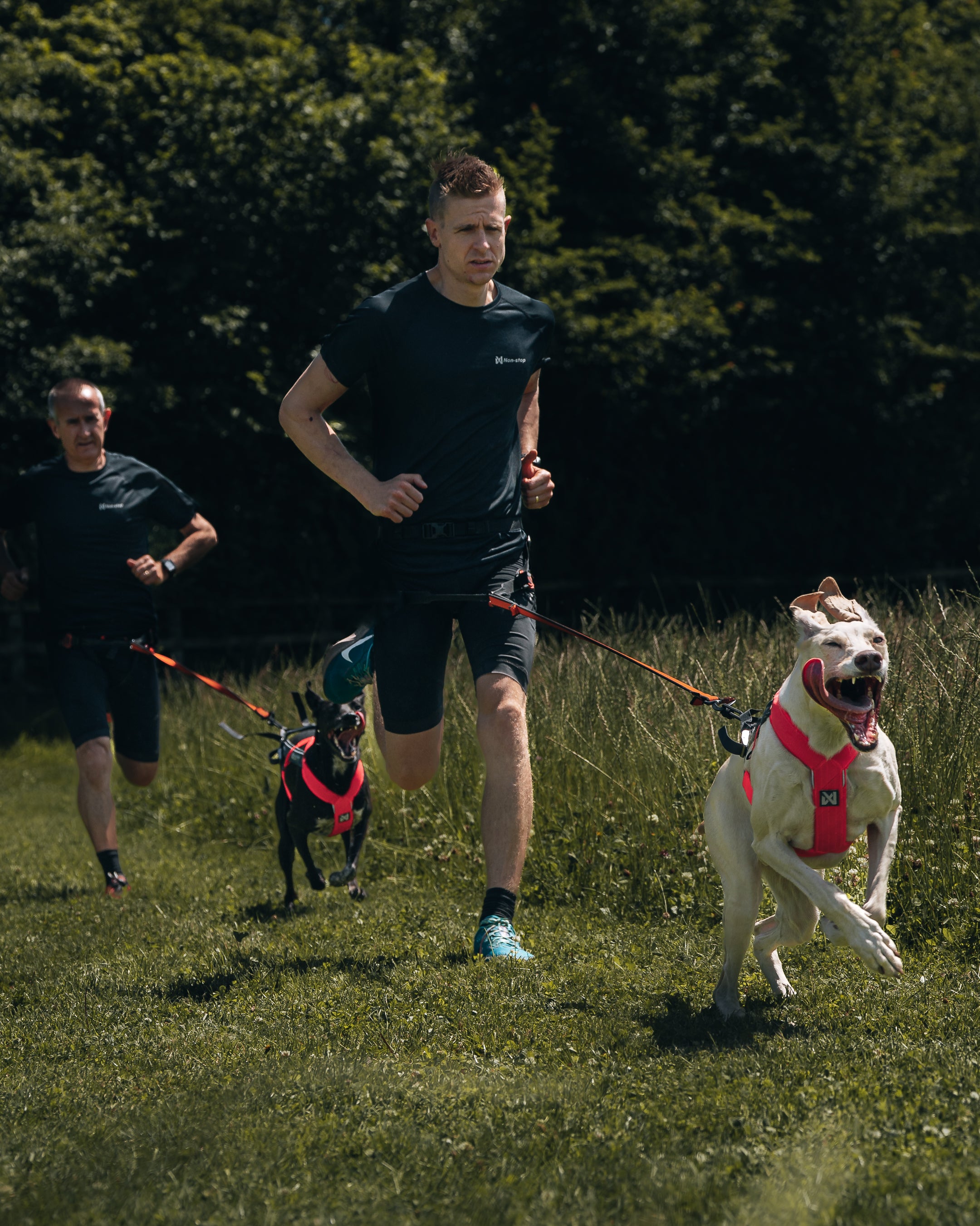 Non Stop Dog Wear Freemotion Harness 5.0 - Adjustable No-Pull Dog Harness for Medium & Large Dogs - Perfect for Walking, Running & Outdoor Adventures