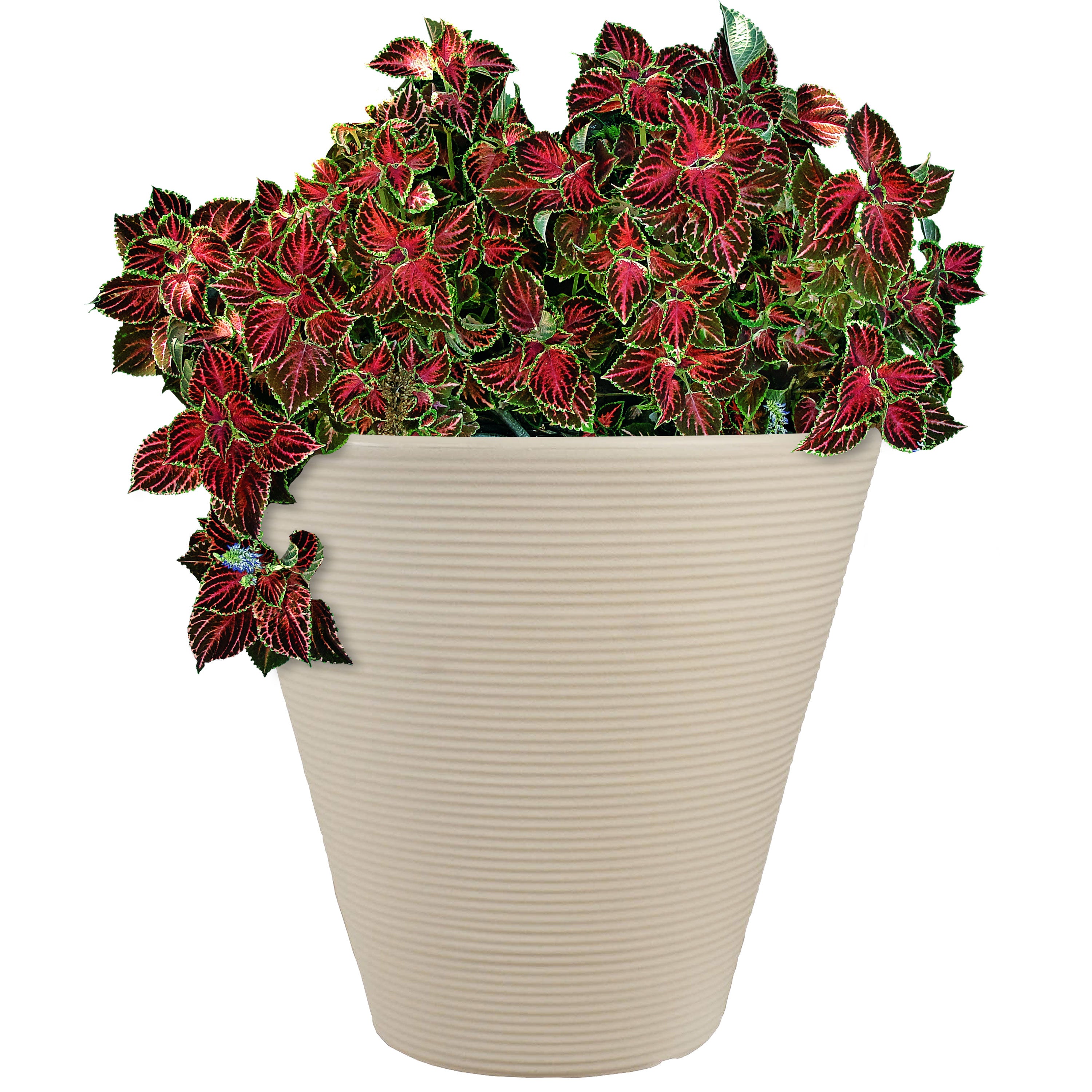 Sunnydaze Walter Outdoor Planter - Antique White 15.5 Inch - Decorative Garden Flower Pot for Patio, Porch & Backyard Decor