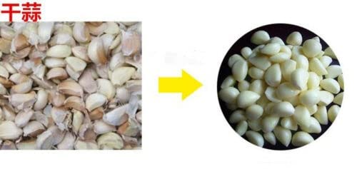 Electric Garlic Peeler Machine - Automatic Garlic Skin Remover for Home & Commercial Use - Perfect for Restaurants, Kitchens, and Food Prep