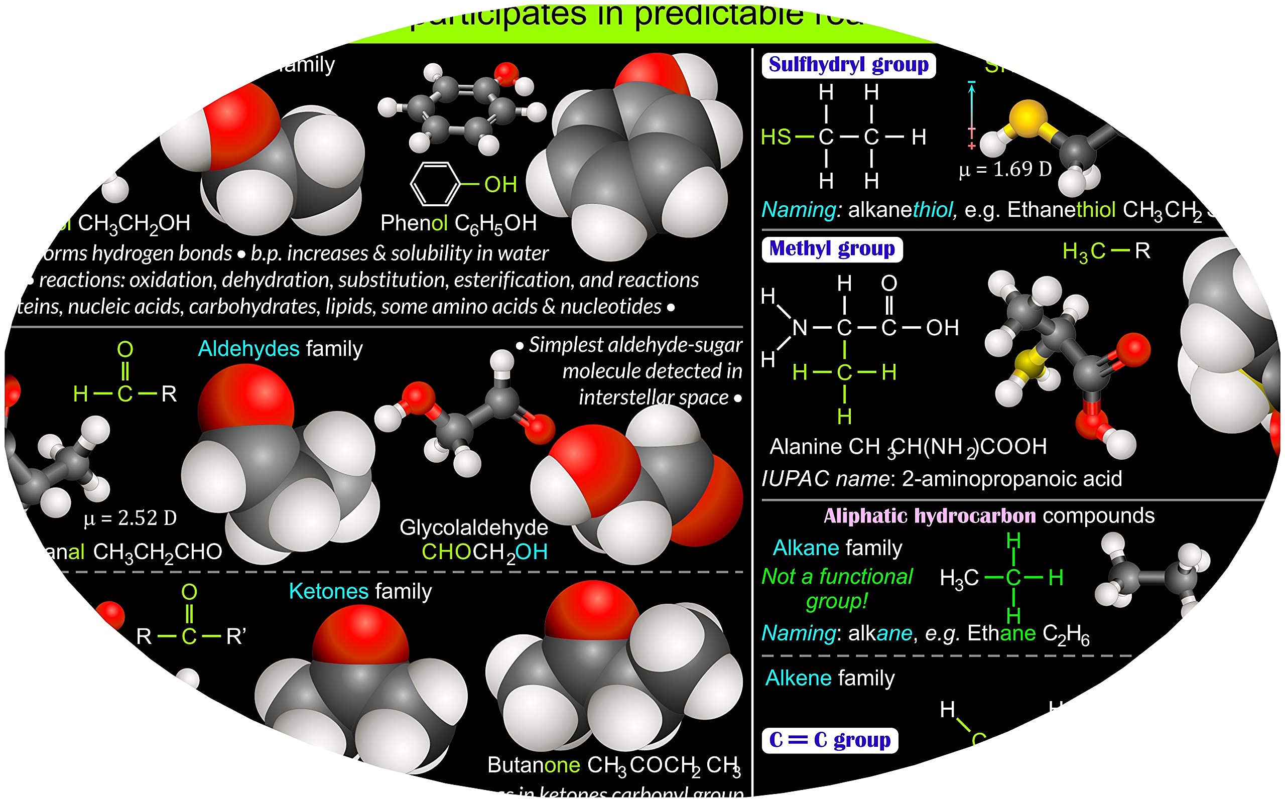 2IN1 Organic Chemistry Poster with Functional Groups & Isomers - 20x30 Inch Laminated Photo Art Print - Wet & Dry Erase Safe | Science Classroom Decor, Study Aid for Students, Lab Reference Chart