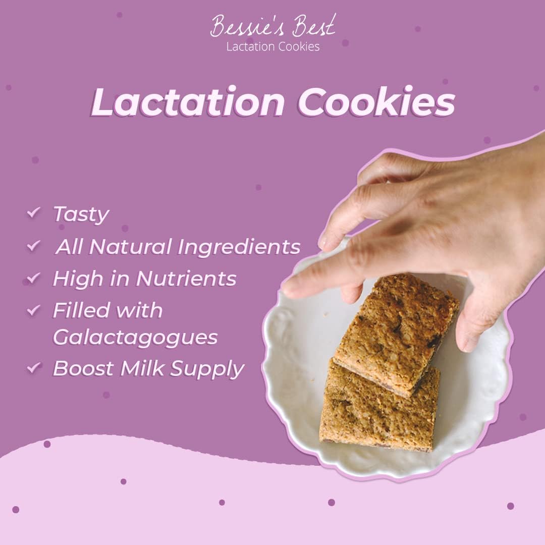 Bessie's Best Lactation Cookies - Oatmeal Peanut Butter Chocolate Chip for Breastfeeding Moms | 1 Dozen Pack | Milk Supply Boost Snacks