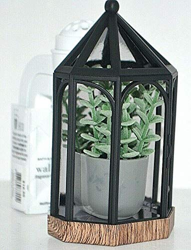 Bath & Body Works Wallflowers Succulent Terrarium Plug-in Air Freshener Diffuser - Perfect for Home, Office & Bedroom Aromatherapy