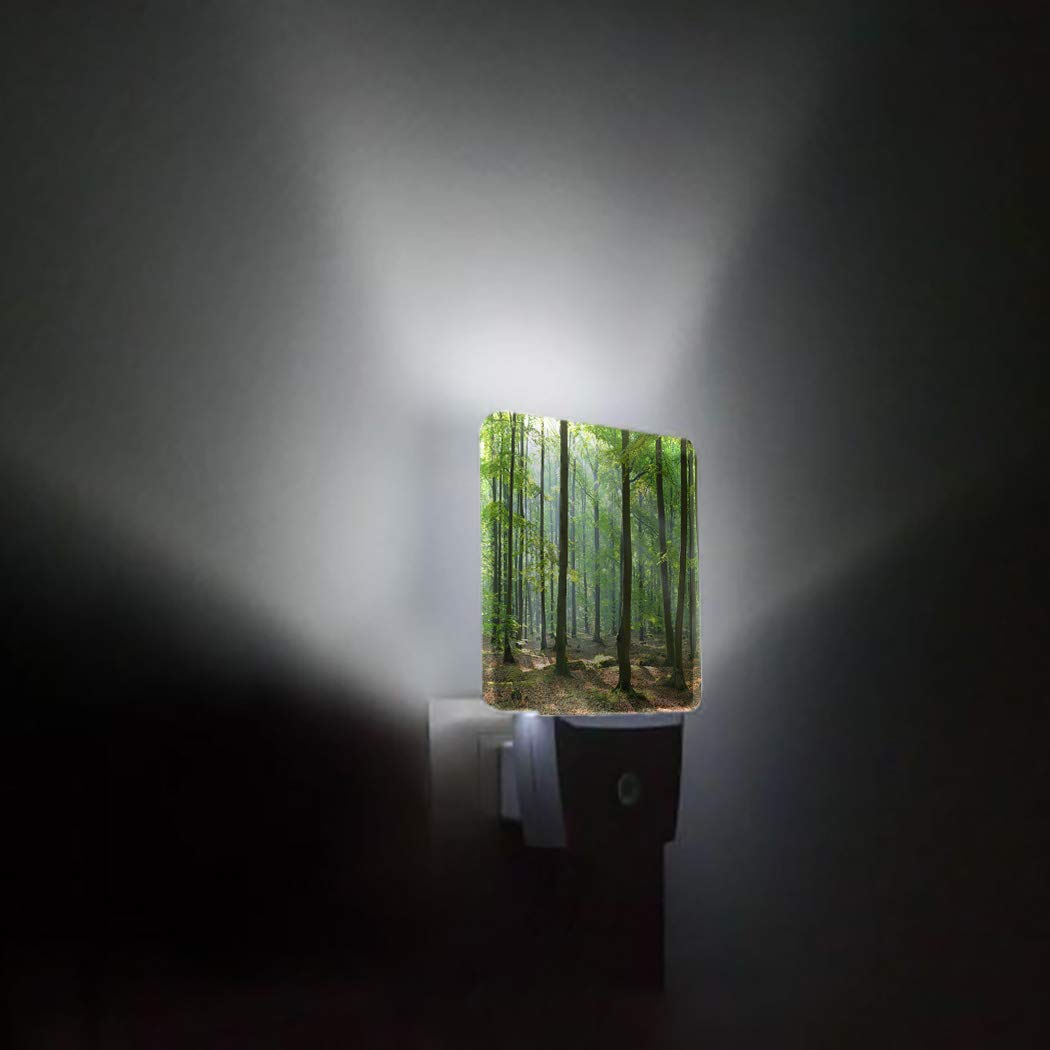 **LED Night Light Plug in with Auto Sensor - Spring Green Leaves Tree Design, Square Wall Light for Bedroom, Kids, Adults - Perfect for Nurseries, Hallways & Bathrooms**
