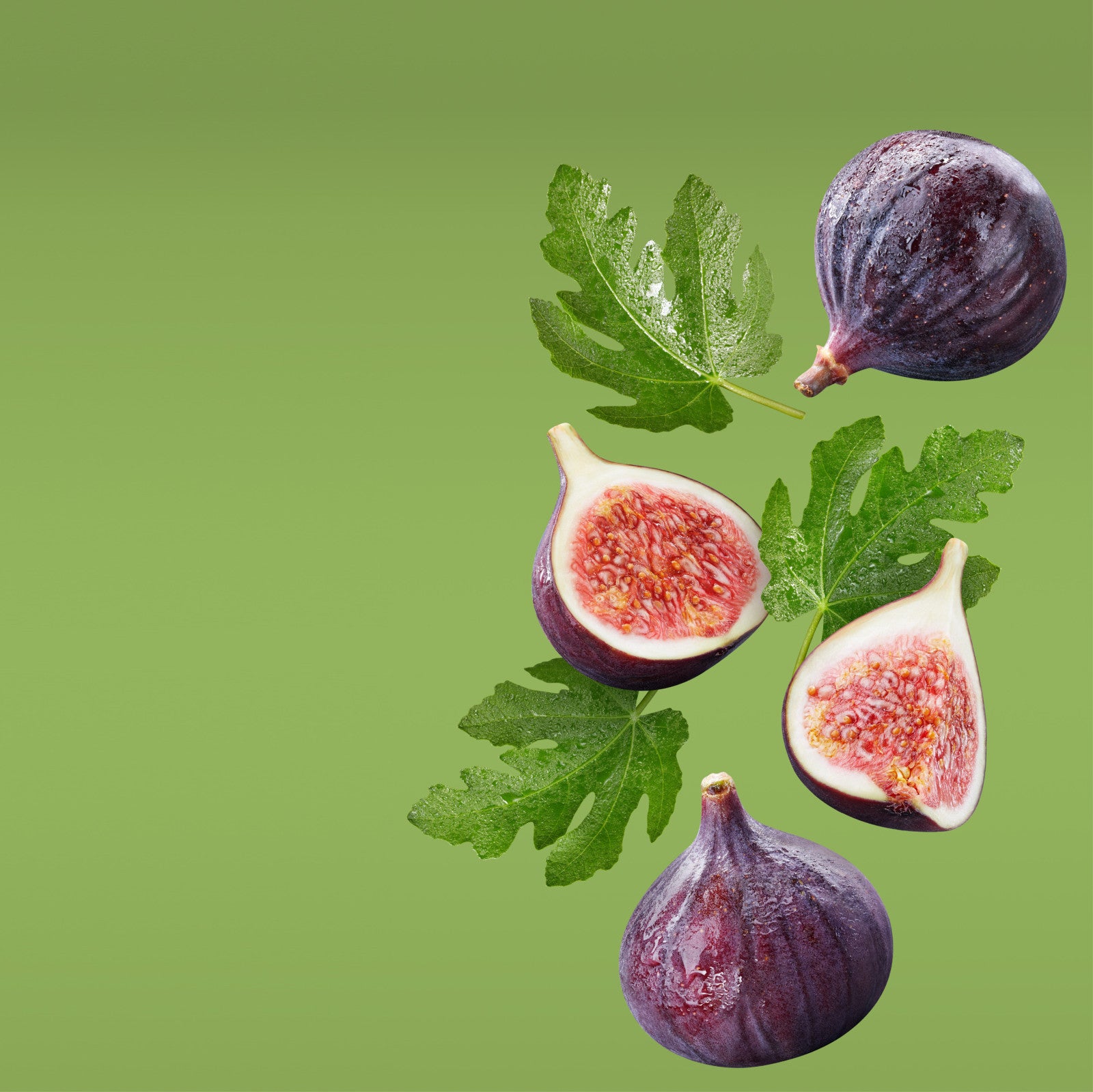 Premium No. 1206 Fig-Scented Fragrance Oil for Handmade Soaps, Candles & Diffusers - Inspired by Diptyque Philosykos - Perfect for Aromatherapy, Home Spa & Gift Giving