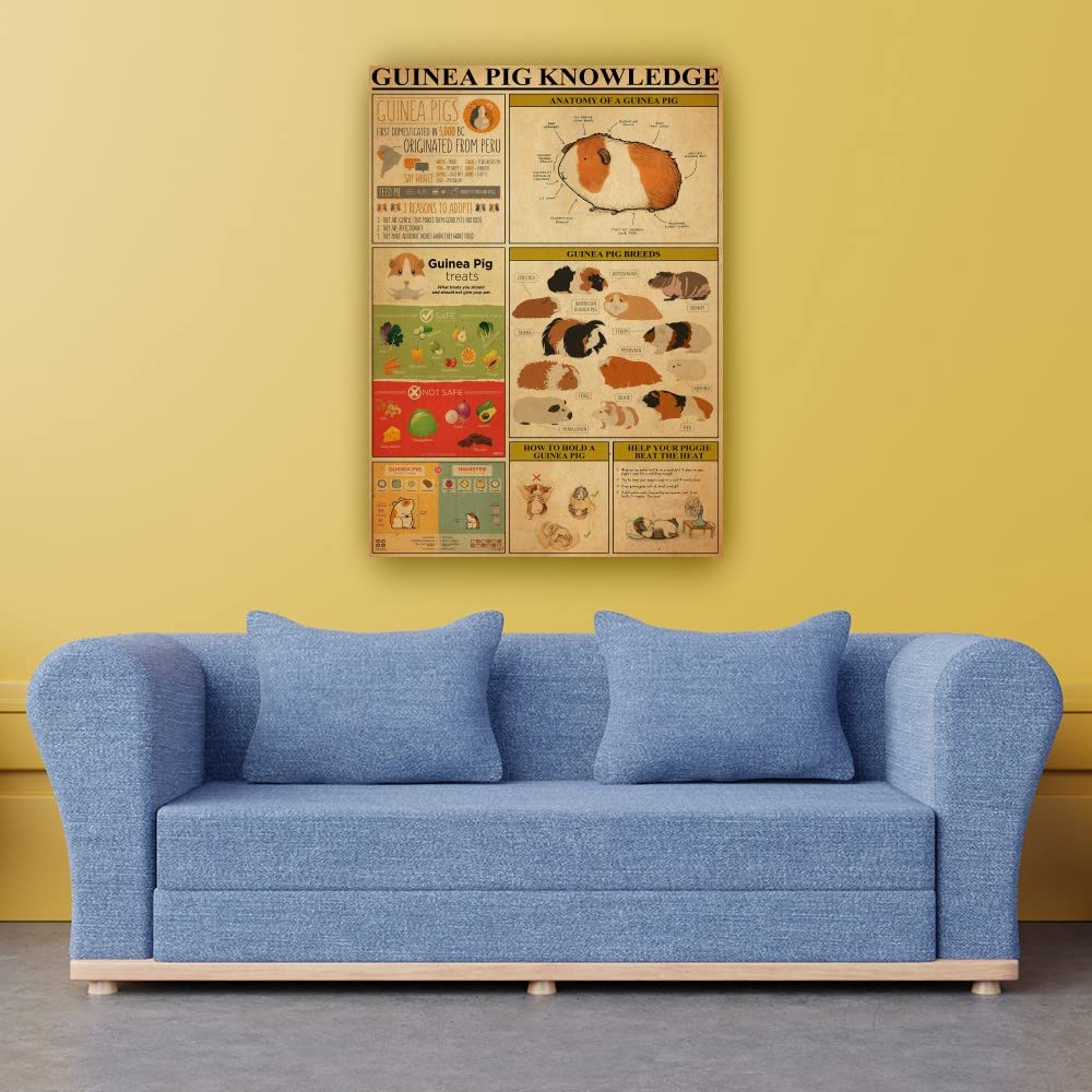 Guinea Pig Care Guide Poster - Educational Wall Art for Pet Lovers - Giclee Print Canvas Decor for Living Room, Bedroom, Office & Bathroom - Framed Animal Infographic (24x36 Inches, 60x90cm) - Perfect Gift for Guinea Pig Owners & Veterinary Students