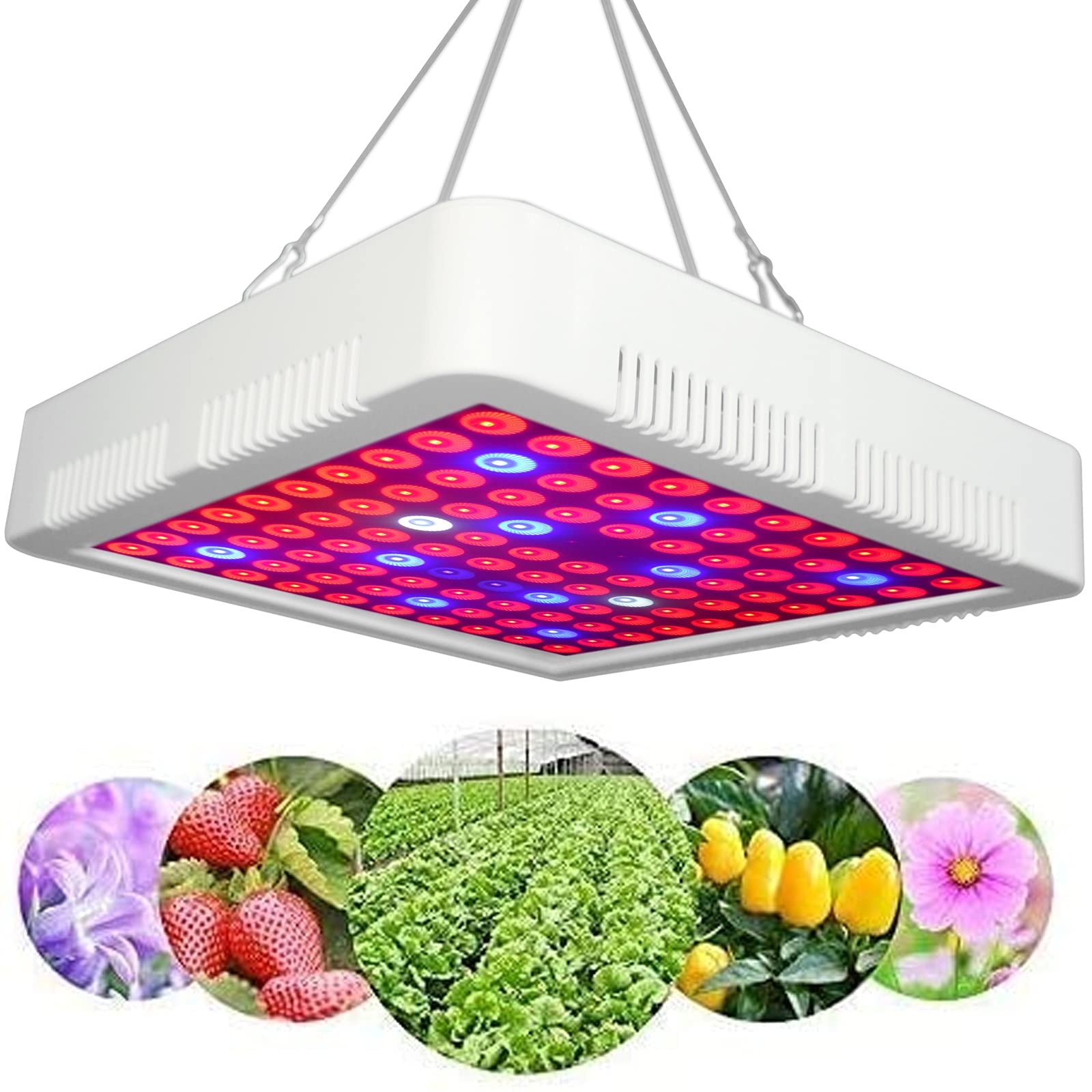 5000W Full Spectrum LED Grow Light for Indoor Plants - Hydroponic Plant Growing Lamp with Veg & Bloom Booster - High Power Grow Light for Vegetables, Flowers, and Herbs (Perfect for Indoor Gardening, Greenhouses, and Hydroponic Systems)