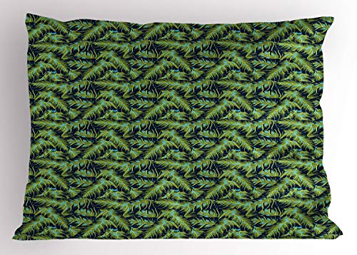 Olive Green Dark Blue