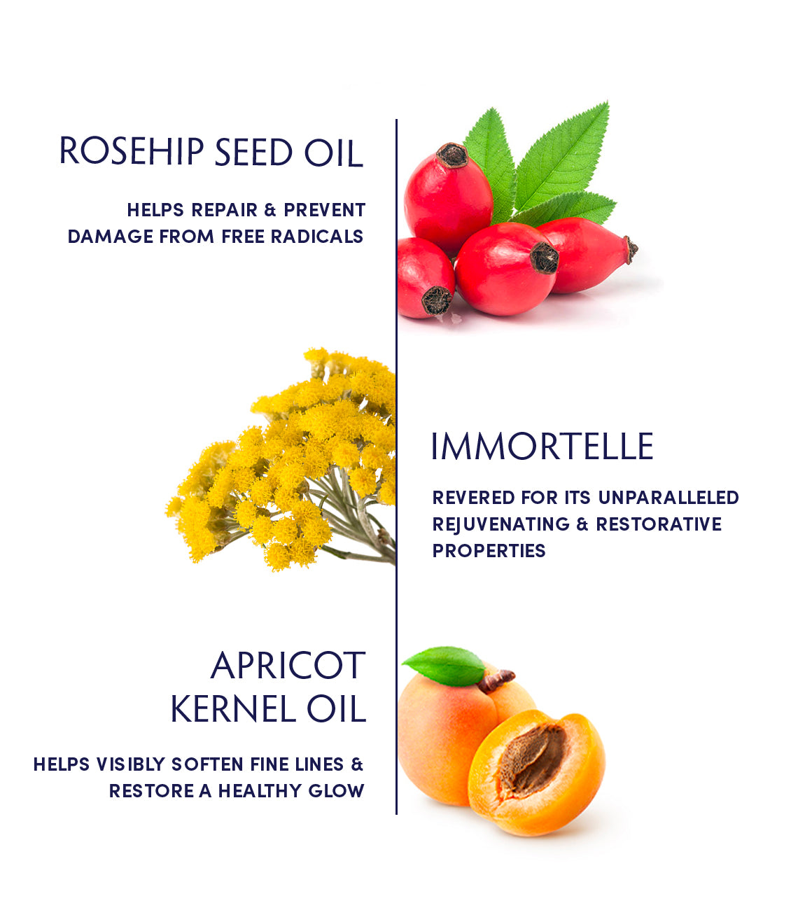 Organic Rosehip Seed & Immortelle Anti-Aging Facial Oil for Dry Skin - Hydrating & Regenerating Night Treatment for Glowing Complexion | Perfect for Daily Skincare Routine & Post-Sun Care