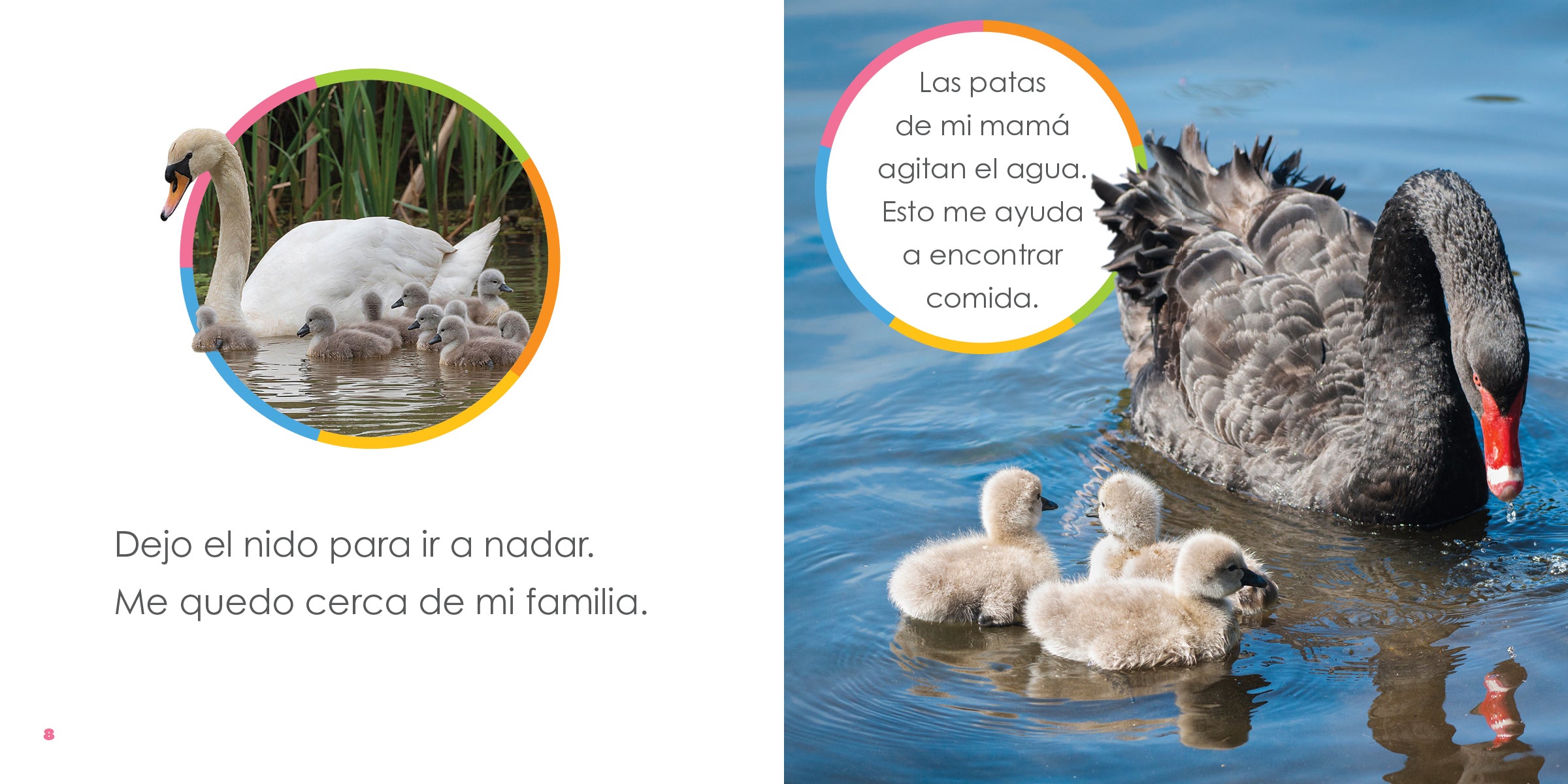 Baby Swans The Beginning - Adorable Baby Swan Plush Toy for Kids & Nursery Decor | Perfect for Gifts, Baby Showers & Nursery Themes
