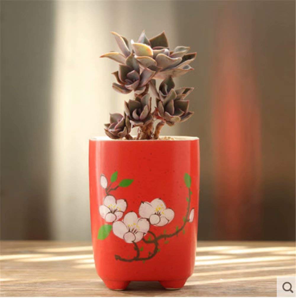 Red Ceramic Flower Pot - Green Plant Container for Indoor & Outdoor Decor | Creative Window Garden Planter for Home, Office & Patio Use
