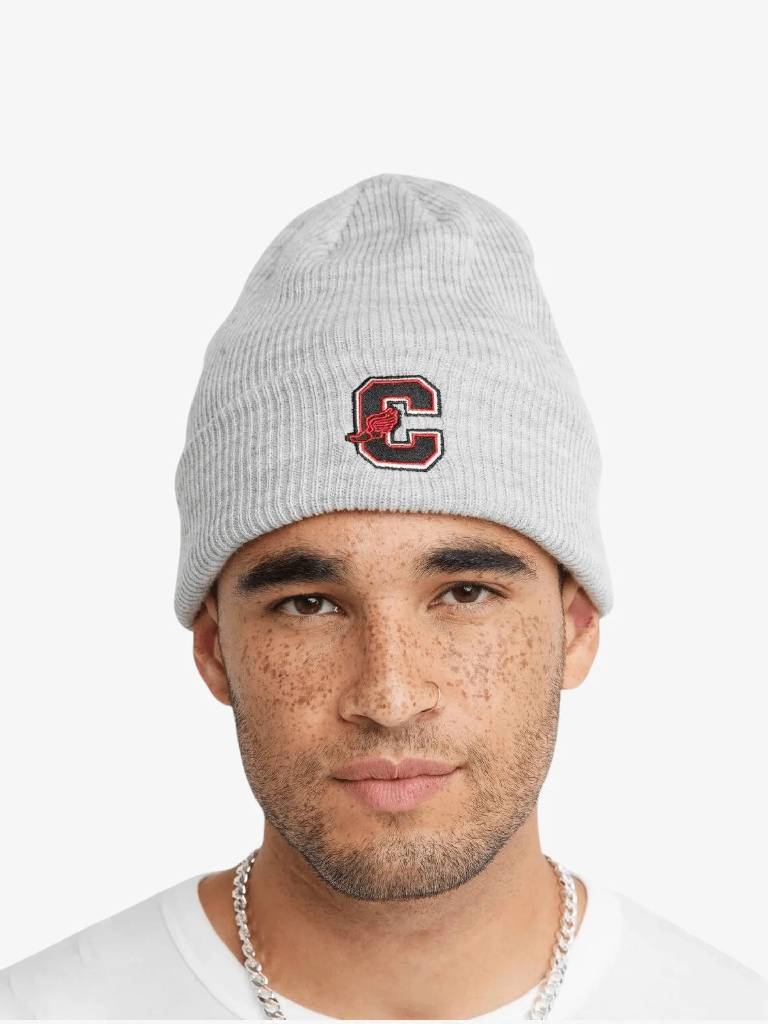 Champion Cuffed Beanie Hat for Men & Women - Soft Winter Knit Skull Cap, Unisex Warm Fleece Lined Hat for Outdoor Sports, Running, Skiing, Hiking