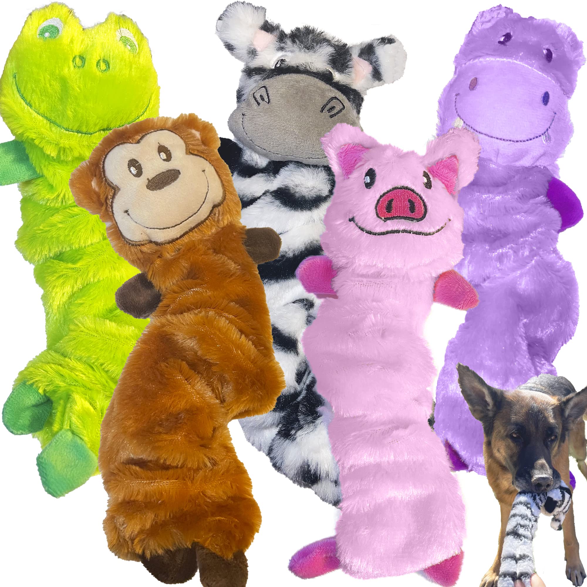 5 Pack Durable Dog Bungee Chew Toys with Squeaker & Crinkle Paper - No Stuffing Mess-Free Design - Interactive Play for Puppies & Adult Dogs - Perfect for Fetch, Training & Indoor/Outdoor Playtime