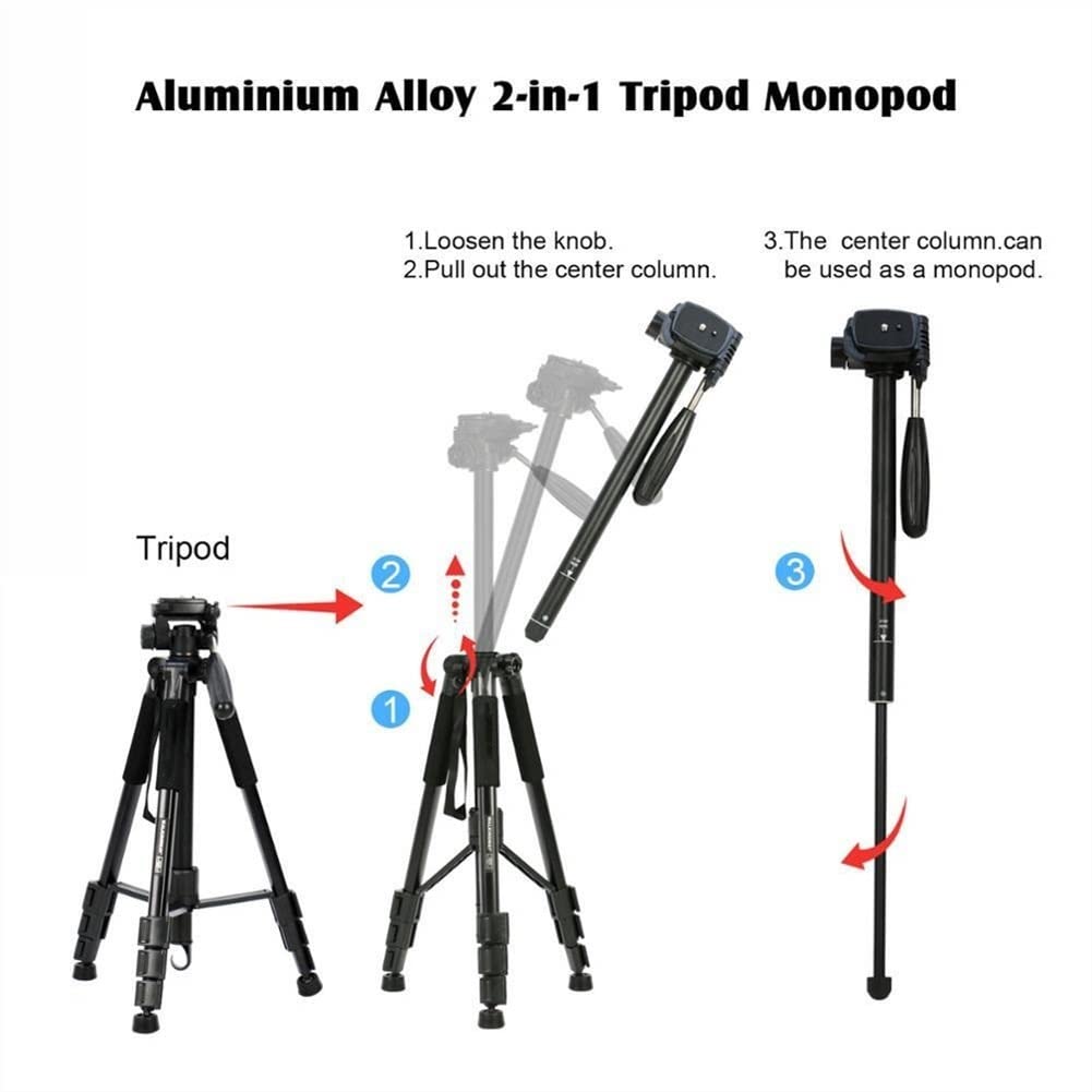 RajoNN Q222 Portable Camera Tripod - Professional Lightweight Travel Tripod Stand for DSLR, Smartphone & Projector | Perfect for Vlogging, Photography & Outdoor Shooting