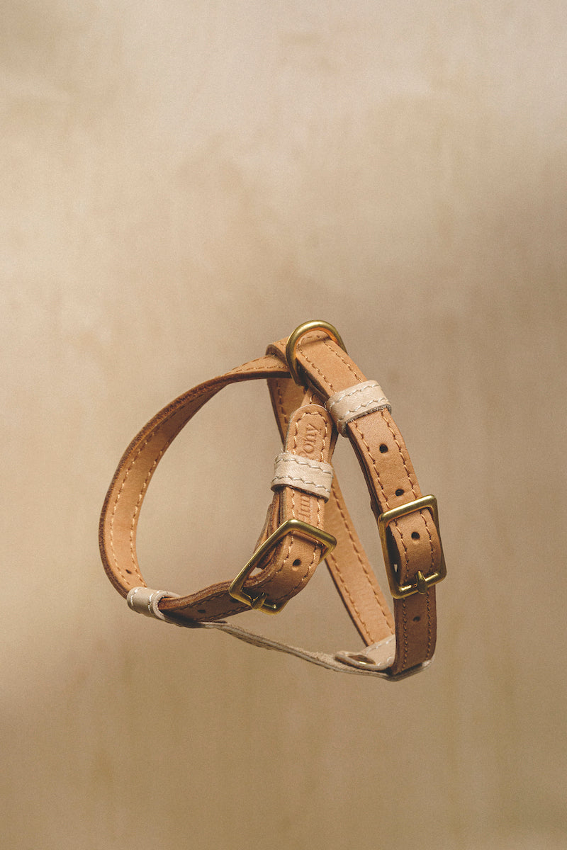 Walk Kit: Premium Walkony Leash & Harness Set in Beige Ginger for Small Dogs - Perfect for Daily Walks, Training, and Outdoor Adventures