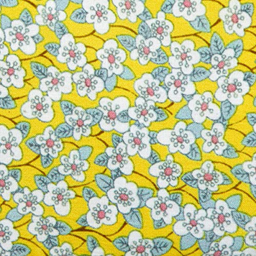 Yellow Daisy