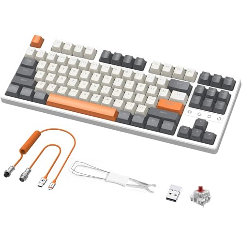Gray/Red Switch