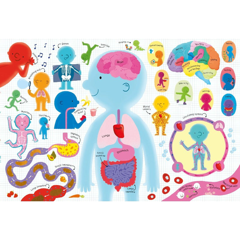 Usborne Human Body Educational Book & 100-Piece Jigsaw Puzzle - STEM Learning Toy for Kids, Perfect for Homeschooling & Classroom Science Activities