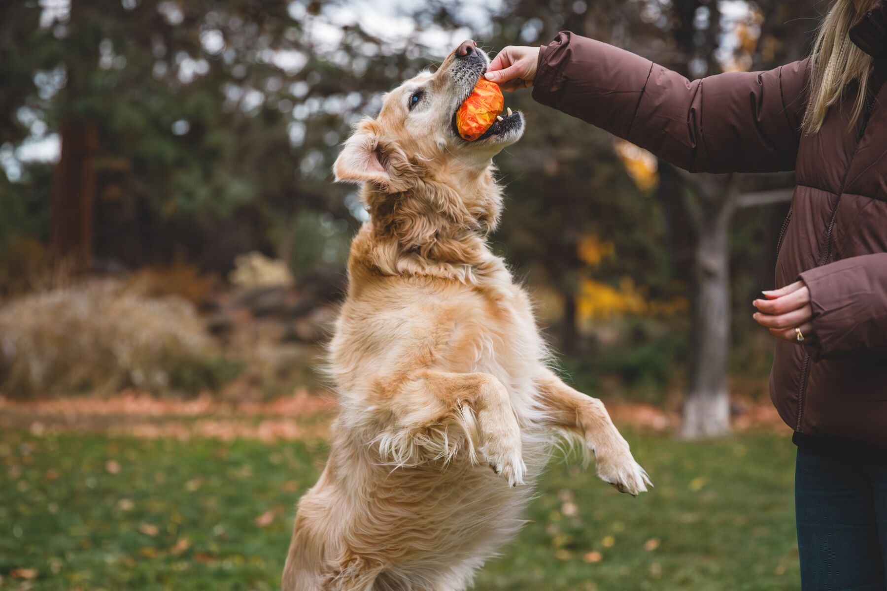 Ruffwear® Gnawt A Cone® Salamander Orange Dog Chew Toy & Treat Dispenser - Durable Interactive Play for Active Dogs, Perfect for Fetch, Training, and Outdoor Adventures