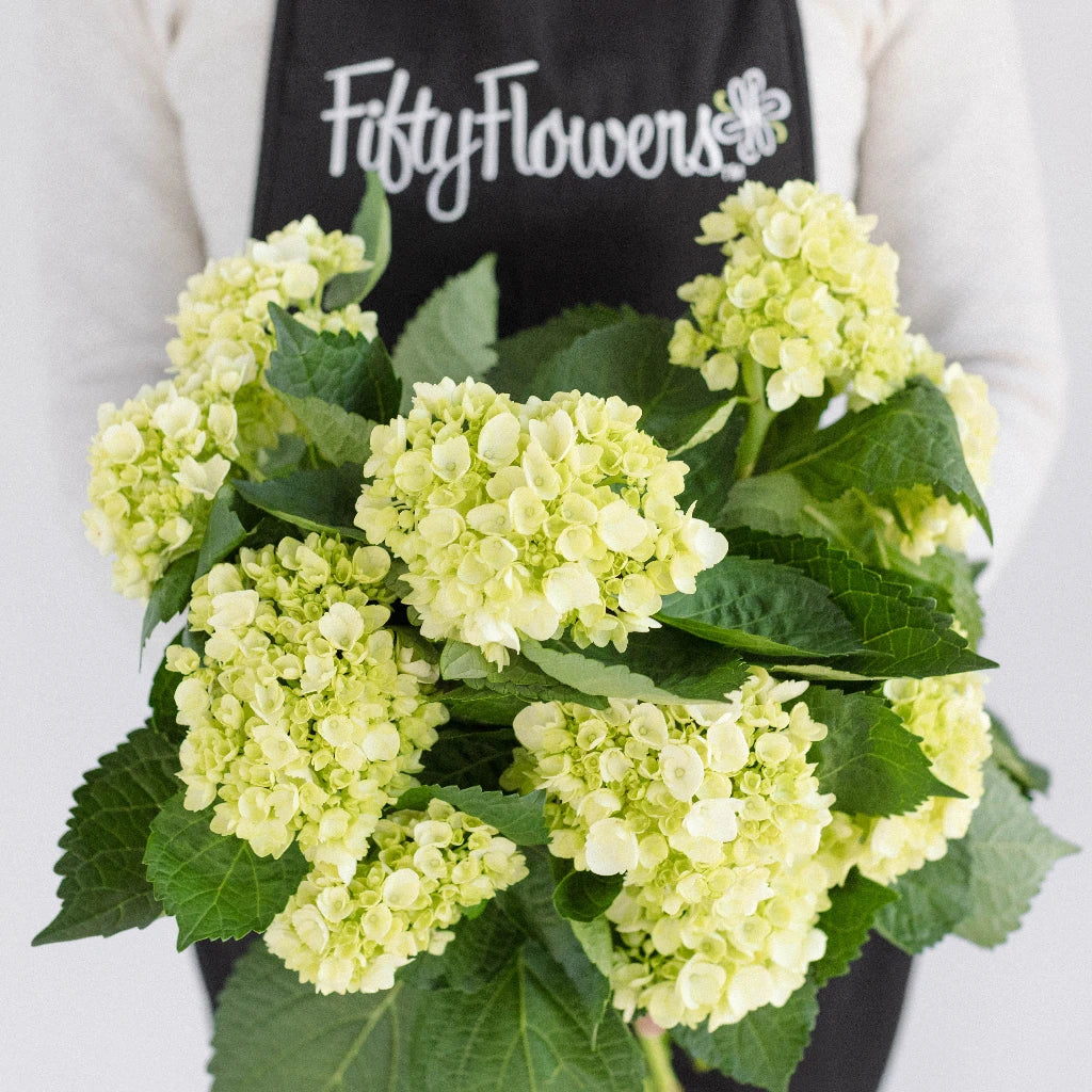 Baby Honeydew Green Hydrangea Flower - Artificial Silk Hydrangea Stems for Wedding Bouquets, Home Decor, and Floral Arrangements