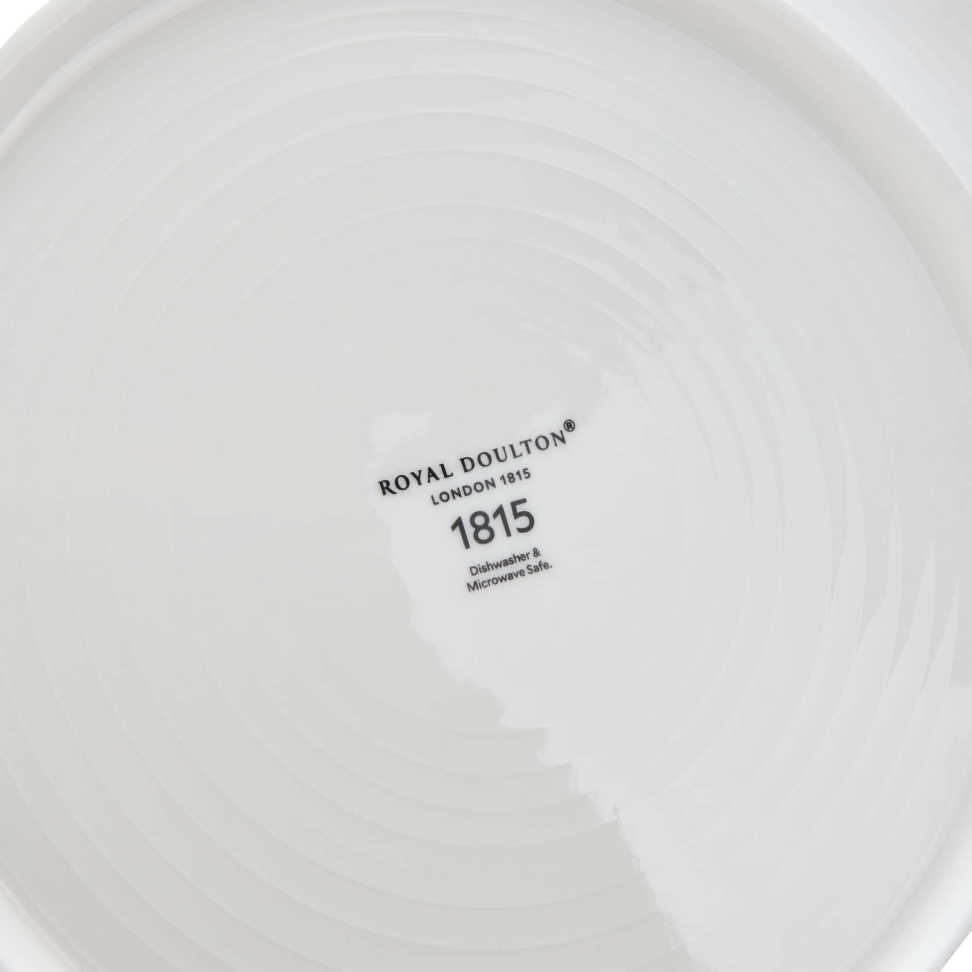 Royal Doulton Pacific Stone 11-Inch Dinner Plates Set of 4 - Elegant Stoneware Dinnerware for Everyday Use & Formal Dining - Microwave & Dishwasher Safe