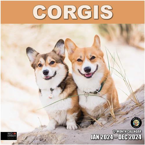 04 - Corgis