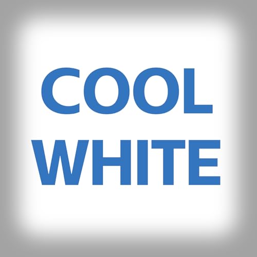 Silver (Cool White Light)