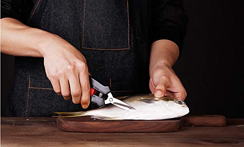Premium Stainless Steel Seafood Scissors & Lobster Forks Set (8PCS) - Heavy Duty Crab Shell Crackers, Shrimp Scissors for Seafood Lovers - Perfect for Crab Legs, Lobster Tails, Shellfish & Seafood Parties