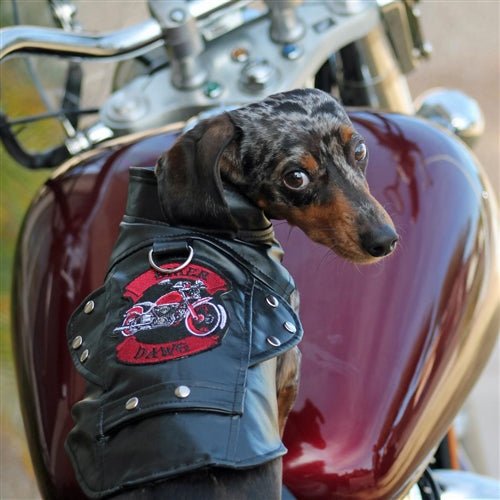 Biker Dawg Motorcycle Dog Jacket - Black - Waterproof & Reflective Safety Vest for Riding with Your Pet - Perfect for Harley, Cruiser & Adventure Bikes