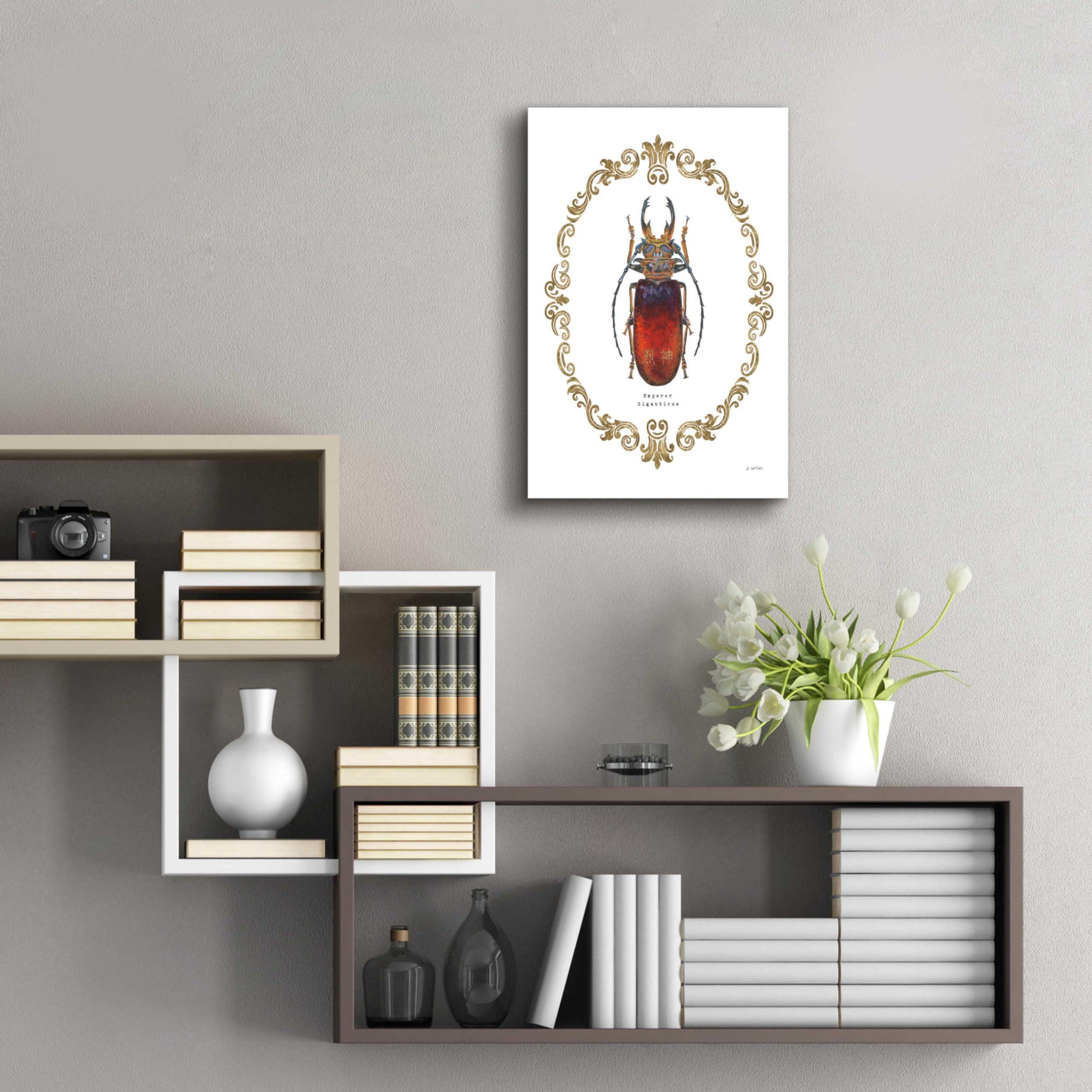 Adorning Coleoptera I by James Wiens - 16x24 Inch Acrylic Glass Wall Art Painting | Modern Home Decor for Living Room, Bedroom & Office