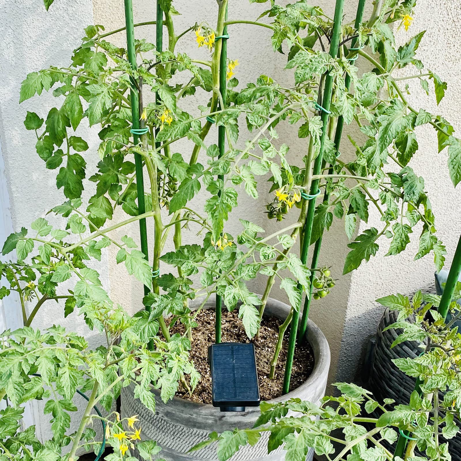 10 Pack 8mm x 90cm Steel Garden Plant Stakes - Heavy Duty Plant Support Sticks for Climbing Plants, Tomatoes, Vines & Flowers | Outdoor Gardening Supplies for Vegetable Gardens, Greenhouses & Backyard Planting