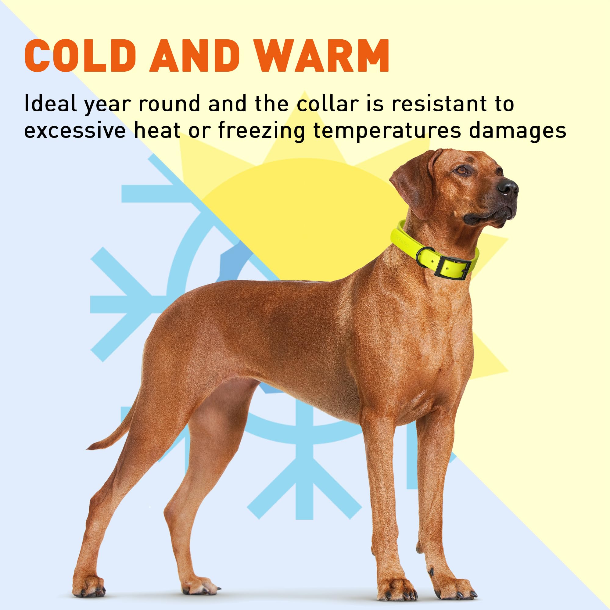 **Waterproof Biothane Dog Collar - Durable Coated Nylon Webbing with Black Hardware, Odor-Proof, Easy to Clean for Small, Medium & Large Dogs (Safety Yellow) - Perfect for Hiking, Swimming & Outdoor Adventures**