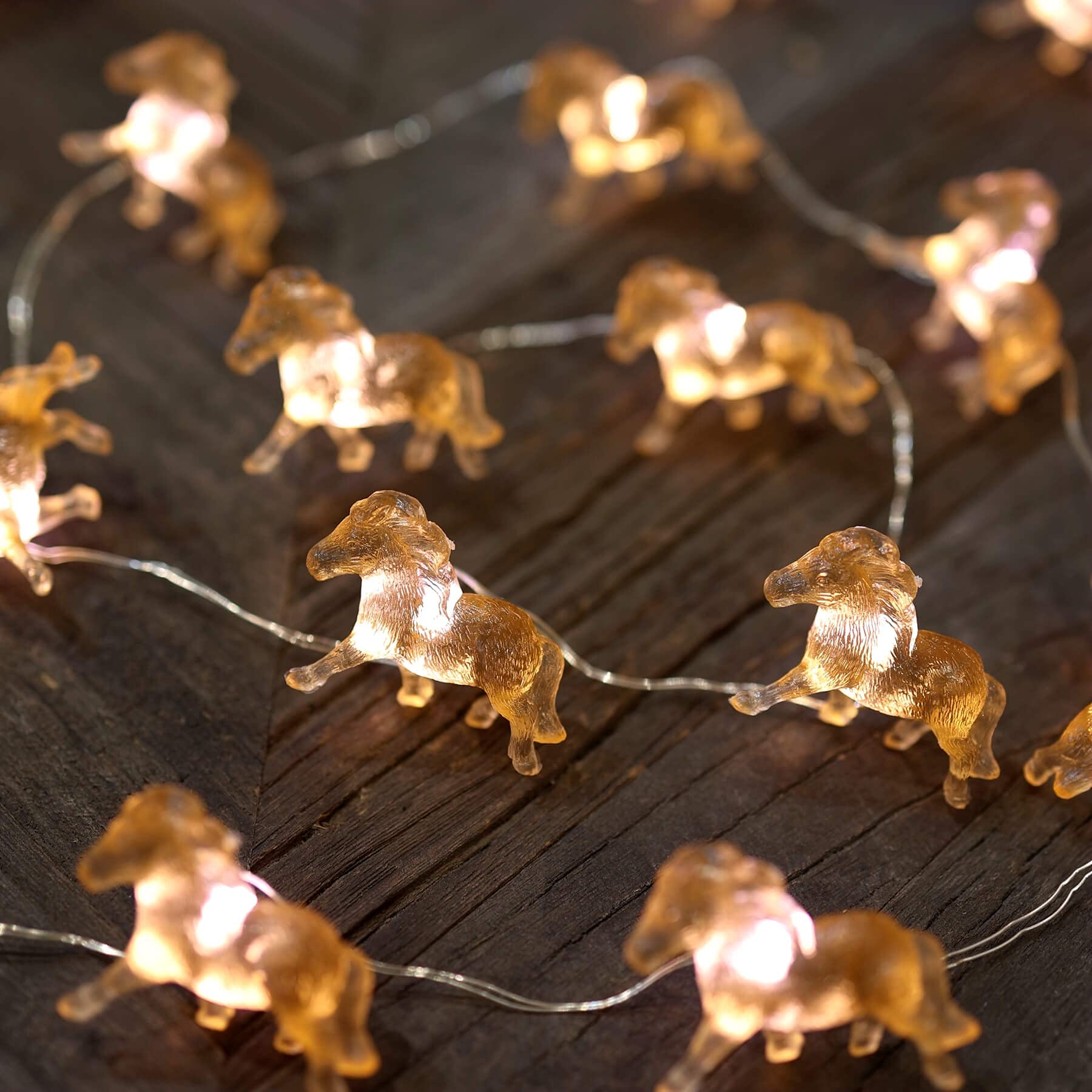 20LED Fairy String Lights - 8ft USB/Battery Operated Decorative Pony Lights for Bedroom, Birthday & Christmas Decor | Cute Horse-Themed Gift for Women | Perfect for Home, Party & Holiday Lighting