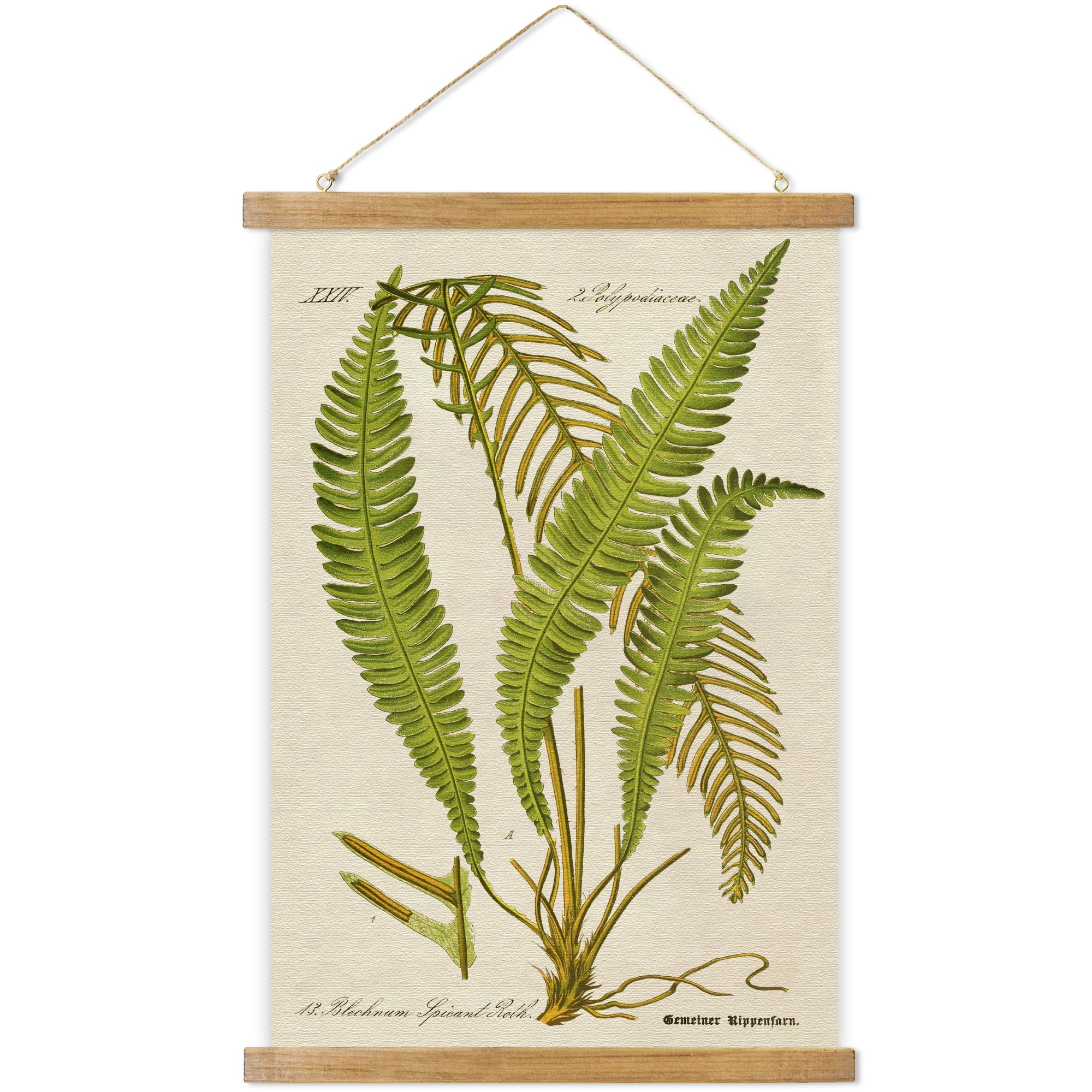 Vintage Botanical Wall Art Prints - Retro Plant Hanging Poster with Wood Frame, Linen Printed Ready to Hang - Perfect for Home Decor, Office, Living Room & Bedroom Wall Decoration