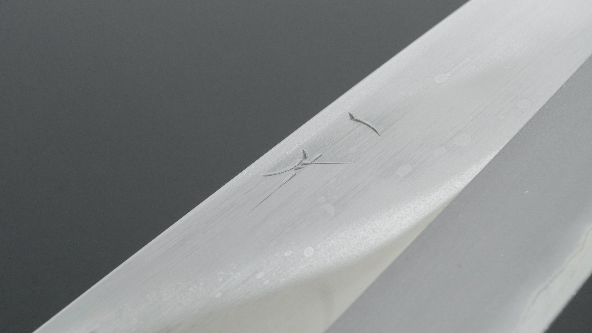 Hitohira Togashi White #1 Stainless Clad Gyuto 210mm Japanese Chef Knife - Taihei Makassar Ebony Handle (Mirror Polished) - Perfect for Sushi, Sashimi & Precision Cutting