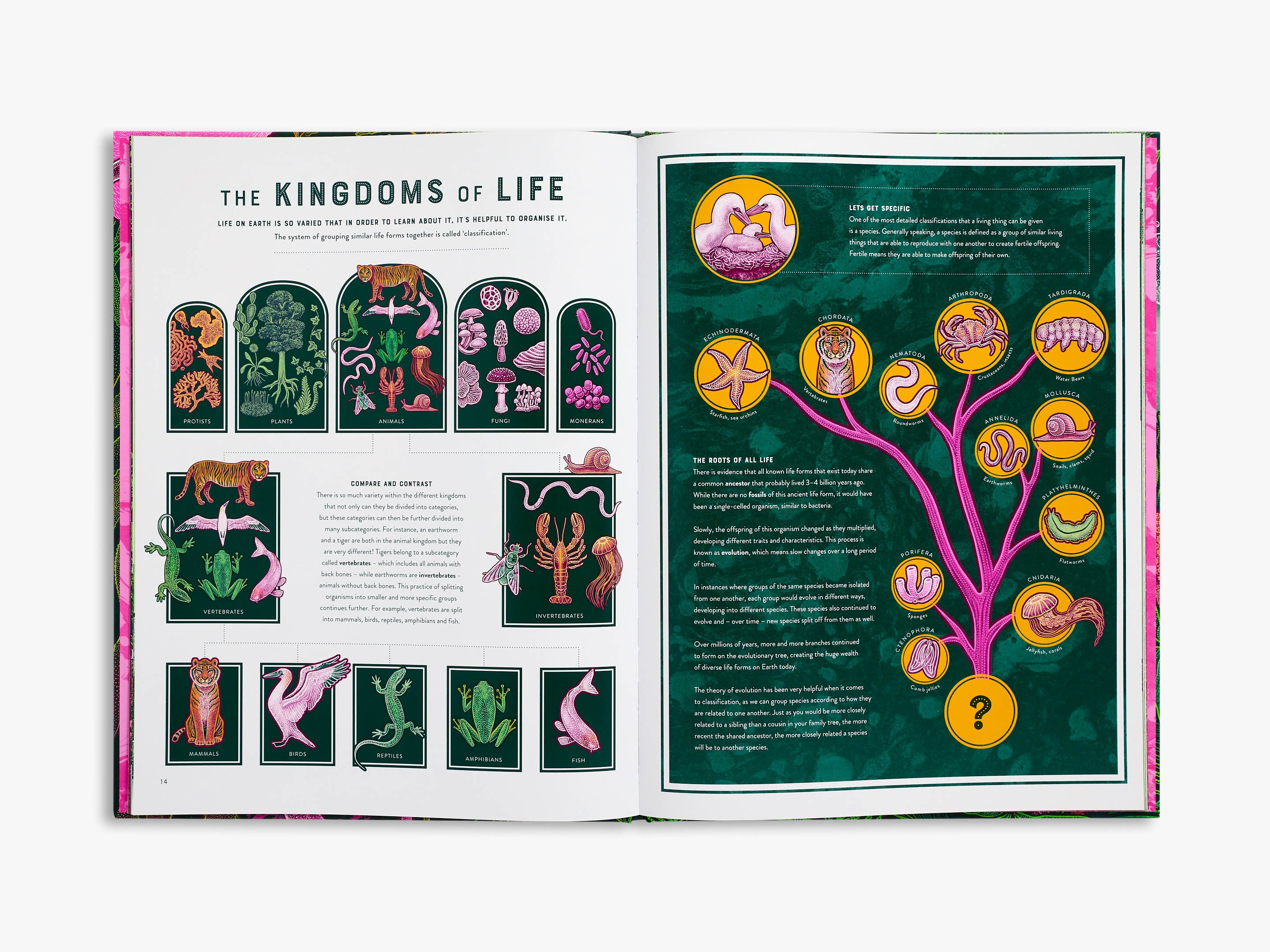 Wild Wonders of Life - Stunning Nature Photography Book for Home Decor & Gifts | Perfect for Coffee Tables, Living Rooms & Nature Lovers