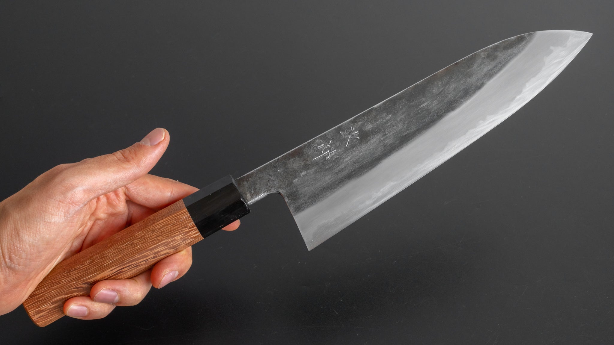 Premium Jiro Tsuchime Wa Gyuto 210mm Japanese Chef Knife with Taihei Tagayasan Handle - Perfect for Sushi, Meat Slicing & Professional Kitchen Use