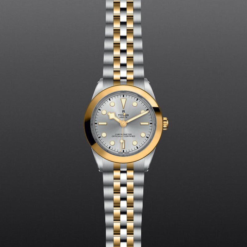 Black Bay One 39 S&G Watch - Luxury Stainless Steel Automatic Diver Watch for Men - Perfect for Diving, Swimming & Everyday Wear