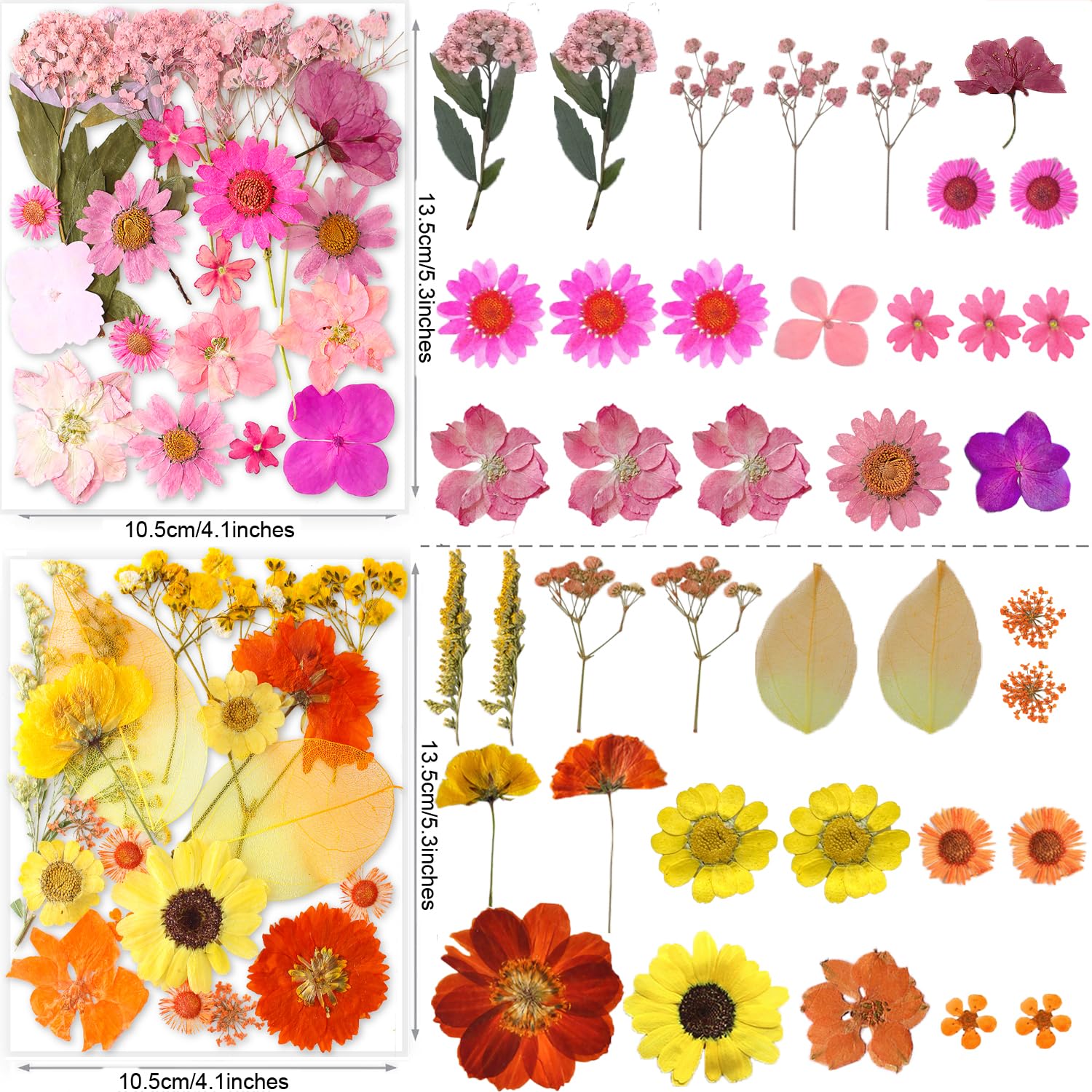 221PCS Real Nature Dried Pressed Flowers for Resin Craft, DIY Jewelry Making, Nail Art, Scrapbooking - Includes Butterfly Transparent Stickers - Perfect for Home Decor, Wedding Invitations & Summer Craft Projects