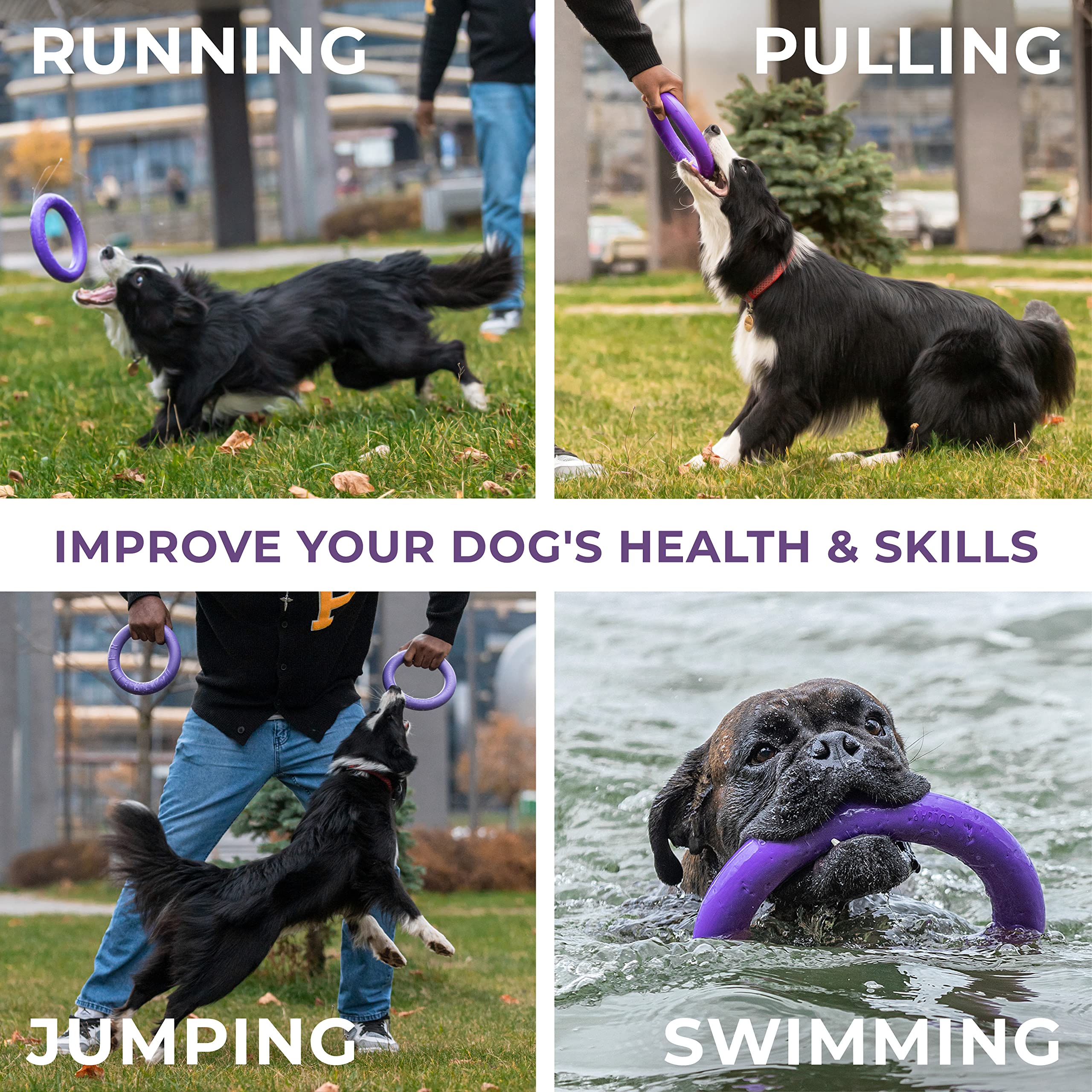 **Outdoor Dog Ring Toys for Fetch & Tug of War - Durable Dog Ball & Soft Frisbee Alternative for Small, Medium & Large Dogs - Perfect for Backyard Play, Agility Training & Exercise**