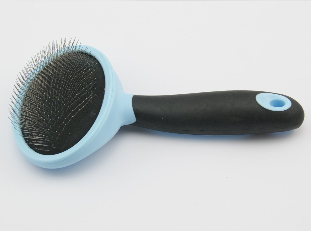Premium 5-Piece Dog Grooming Kit - Slicker Brush, Dematting Comb, Nail Clippers, Leash (Blue) | Essential Pet Care Tools for Bathing, Brushing & Nail Trimming at Home