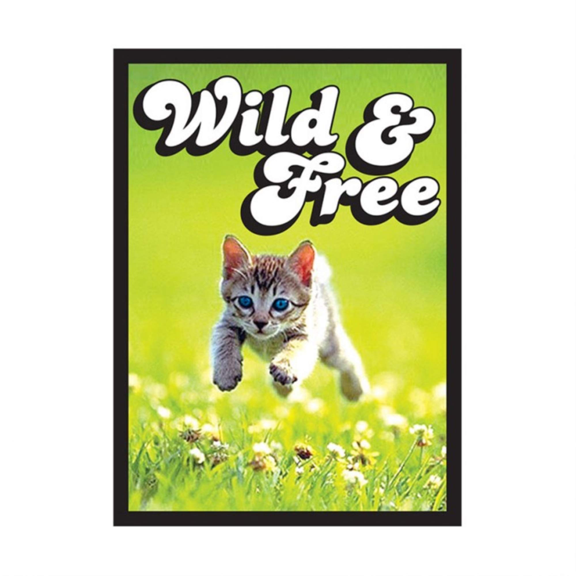 Premium Small Disposable Pet Waste Bags for Kittens (60 Count) - Biodegradable & Leak-Proof - Ideal for Litter Box, Travel & Outdoor Use