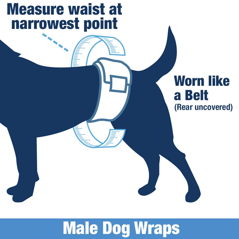 **Disposable Dog Diapers for Male Dogs - Medium Size (144 Count) | Snag-Free Fasteners, Leak-Proof Design, Wetness Indicator | Ideal for Incontinence, Training & Travel**