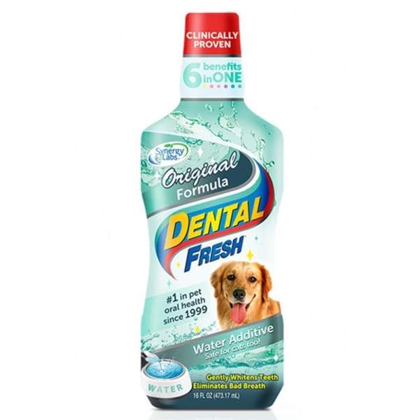 Synergy Labs Dental Fresh Water Additive for Dogs & Cats - 17oz | Promotes Oral Health & Freshens Breath | Ideal for Daily Use in Pet Water Bowls