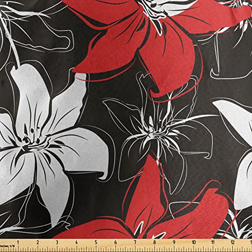 Black White Vermilion