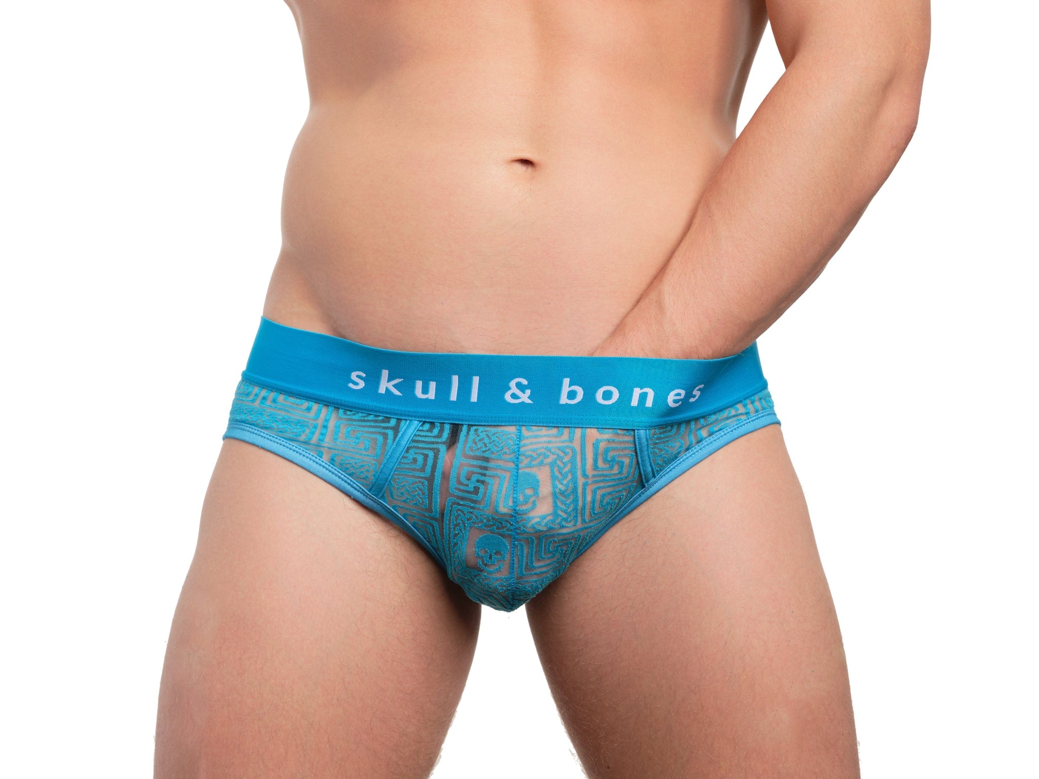Roman Tile Burnout Brief Neon Blue - Sexy Sheer Lingerie Panties for Women | Perfect for Date Night, Boudoir Photos & Sensual Occasions