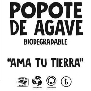 200 Pack Agave Fiber Straws - USDA BioPreferred Certified, Eco-Friendly Plant-Based Drinking Straws, Plastic & Paper Straw Alternative for Parties, Restaurants & Home Use