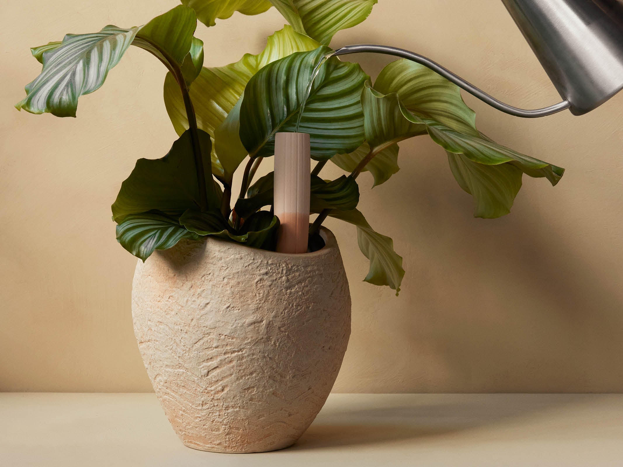 Best Indoor Plant Pots - Modern Decorative Flower Planters for Home & Office Decor | Perfect for Succulents, Herbs & Small Plants
