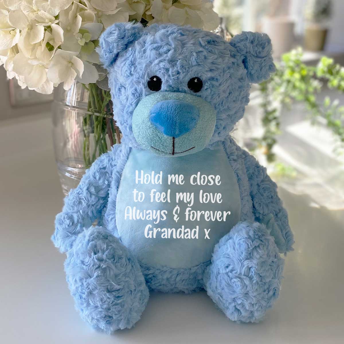 Personalized Voice Recording Teddy Bear - Blue Plush Stuffed Animal, Custom Message Gift for Kids, Valentine's Day, Birthday & Anniversary Presents | Perfect for Long Distance Relationships, Newborn Keepsakes & Emotional Surprises