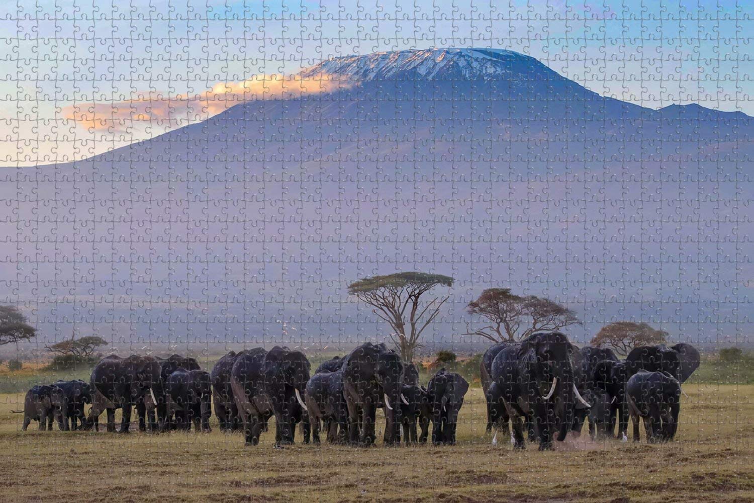 1000 Piece Wooden Jigsaw Puzzle - Kenya Kilimanjaro Amboseli Elephant Scenery for Adults | Travel Souvenir & Home Decor | Perfect for Relaxation, Family Game Night & Gift Giving